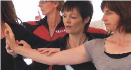 Yi Jin Jing DVDs Muskel-Sehnen-Stärkung-DVD