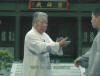 Tuishou Pushhands Ausbildung mit Fu Shengyuan