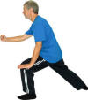 Dr. Stephan Langhoff Tai Chi Chuan DVDs